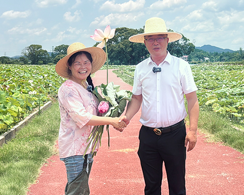 【溯源】广昌白莲