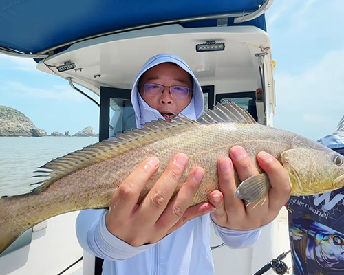 【溯源】青岛海鲜